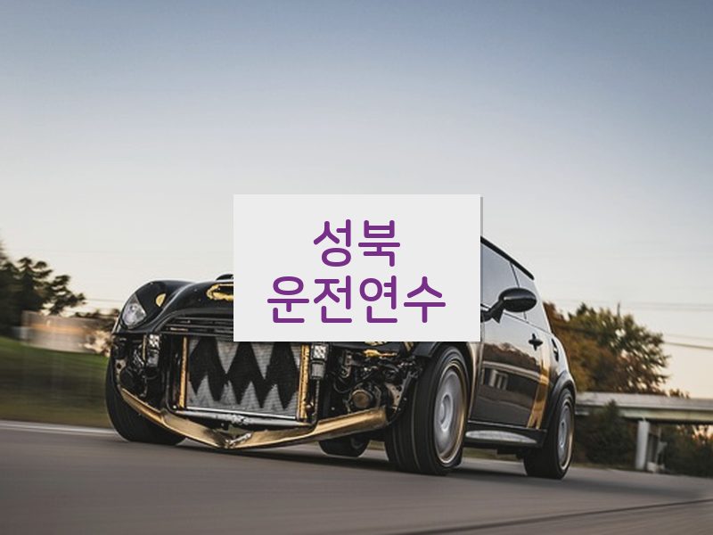 성북운전연수 후기