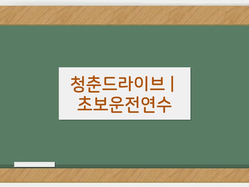 청춘드라이브 | 초보운전연수 후기