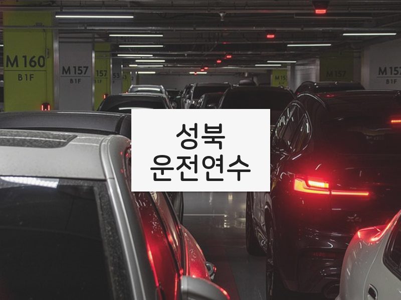 성북운전연수 후기
