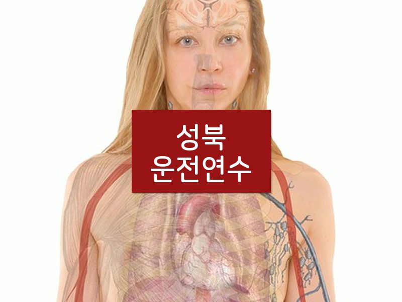 성북운전연수 후기