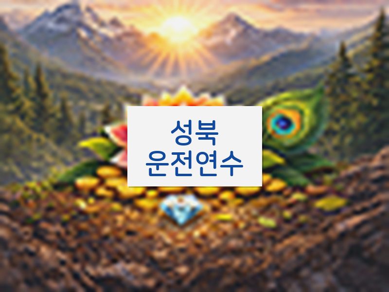 성북운전연수 후기