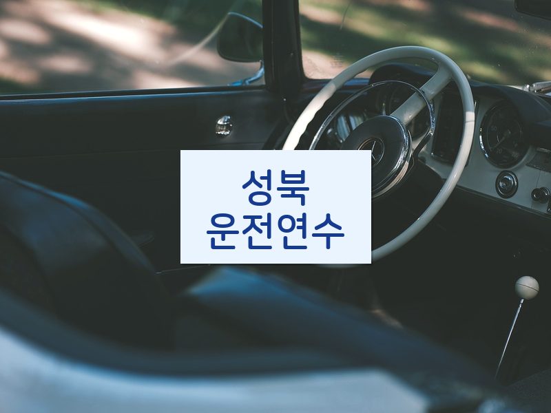 성북운전연수 후기