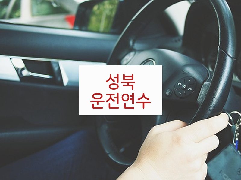 성북운전연수 후기