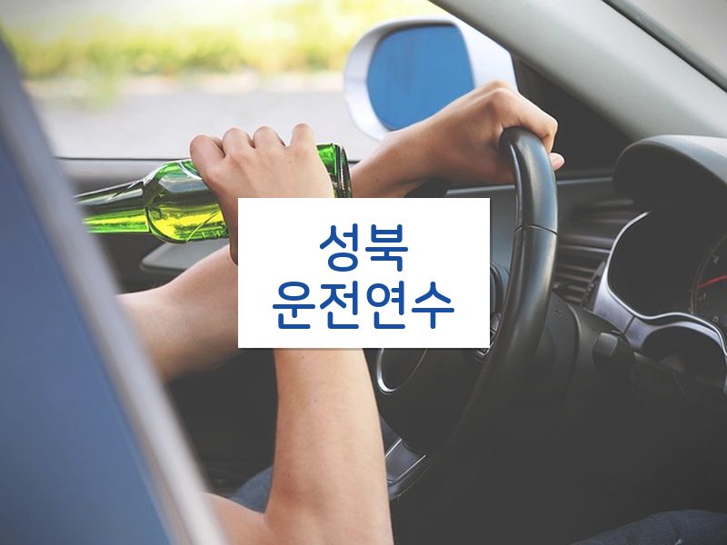 성북운전연수 후기