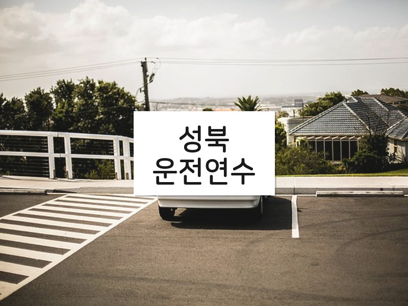성북운전연수 후기