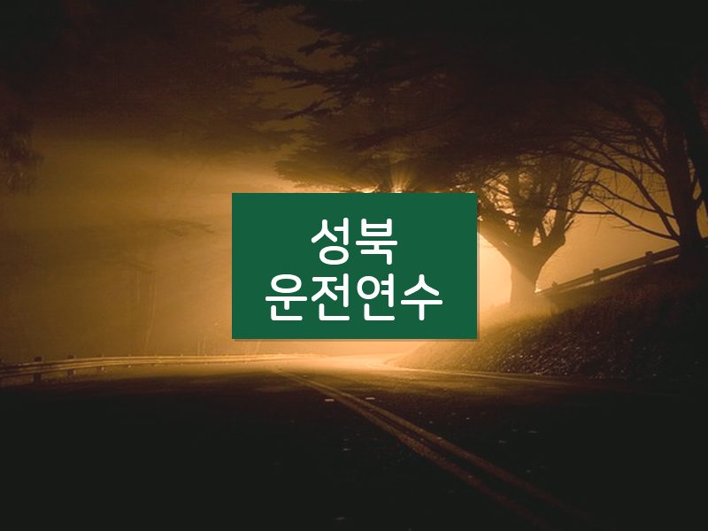 성북운전연수 후기