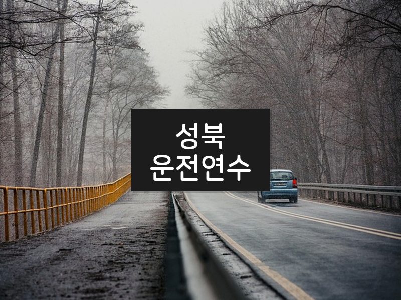 성북운전연수 후기