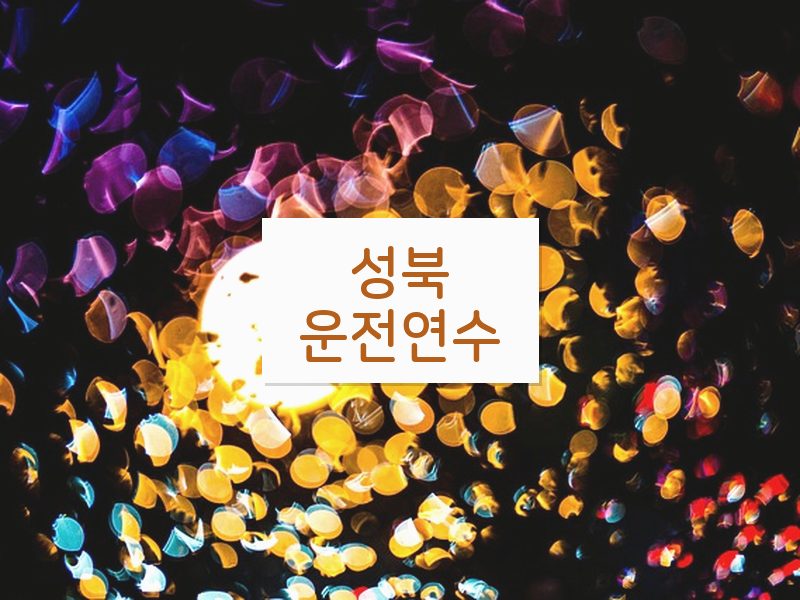 성북운전연수 후기