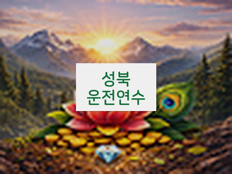 성북운전연수 후기