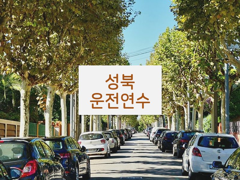 성북운전연수 후기