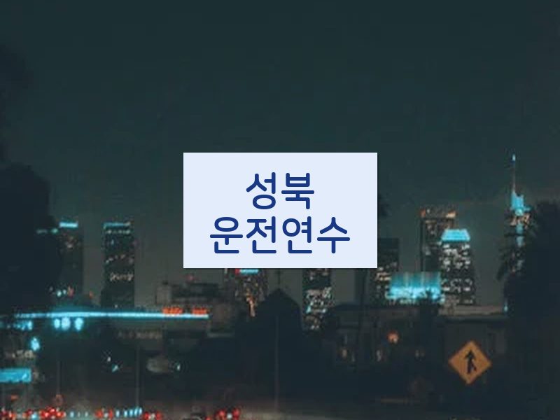 성북운전연수 후기