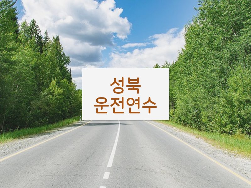 성북운전연수 후기