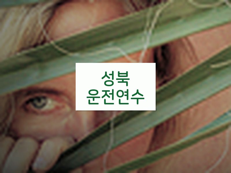성북운전연수 후기