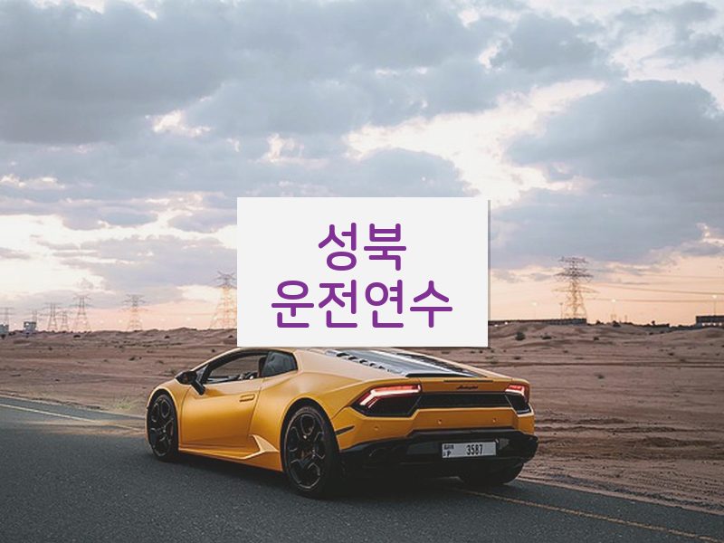 성북운전연수 후기
