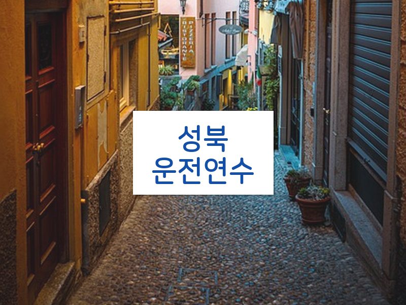성북운전연수 후기