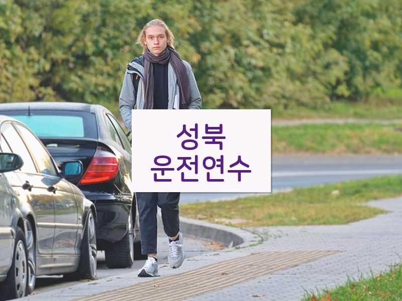 성북운전연수 후기