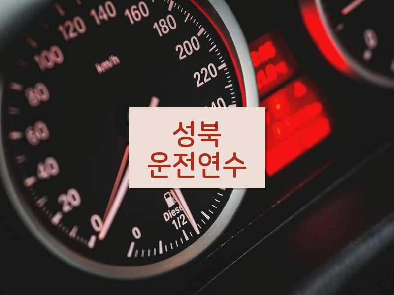성북운전연수 후기