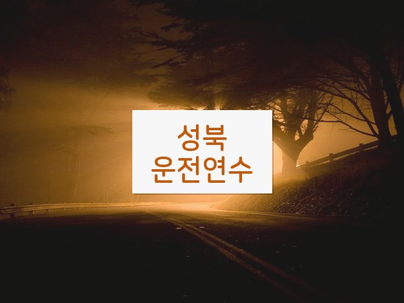 성북운전연수 후기