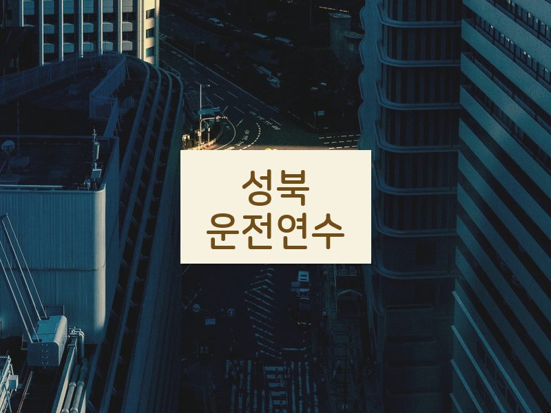성북운전연수 후기