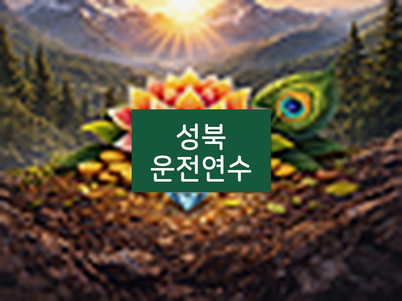 성북운전연수 후기