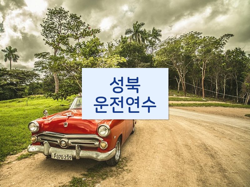 성북운전연수 후기