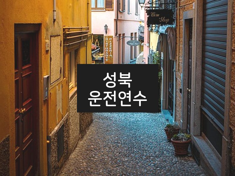 성북운전연수 후기