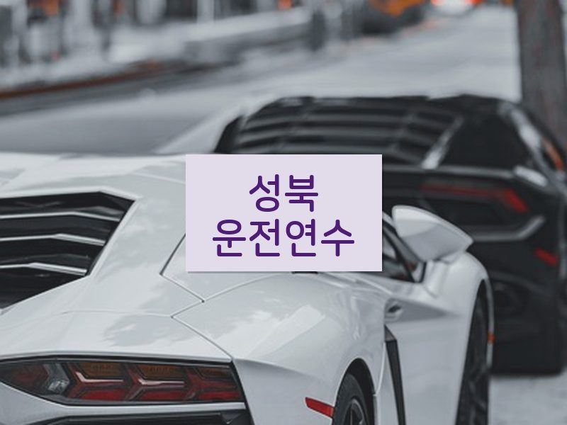 성북운전연수 후기