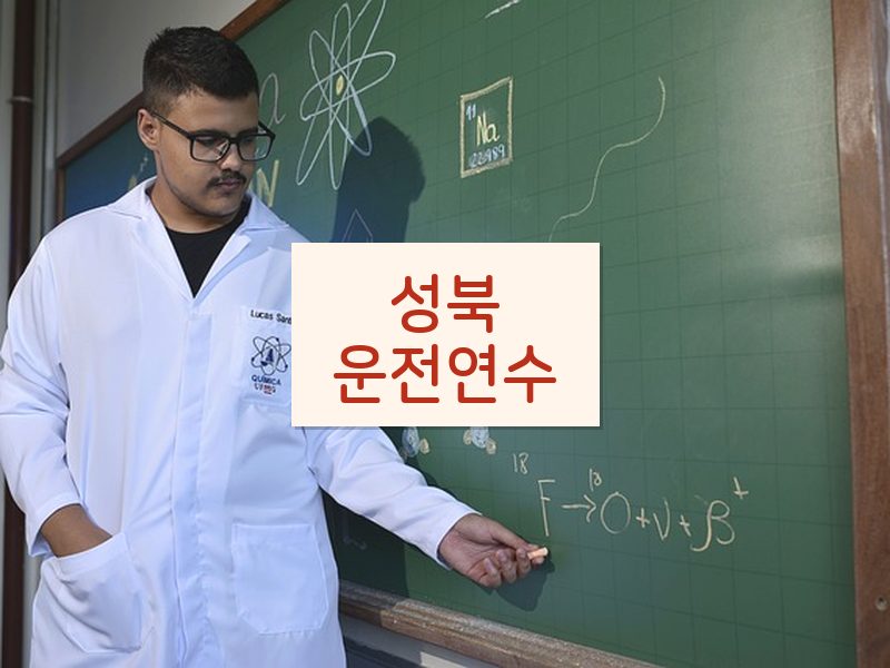 성북운전연수 후기