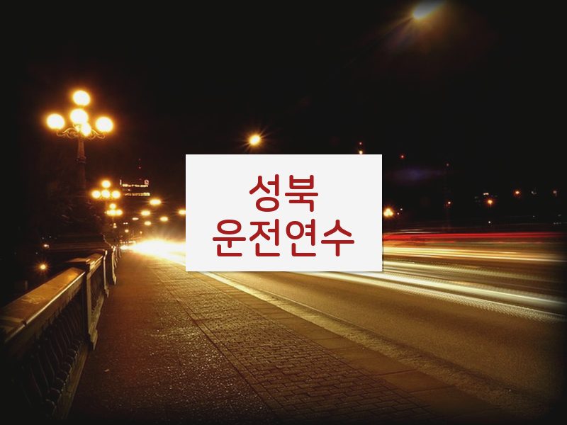 성북운전연수 후기