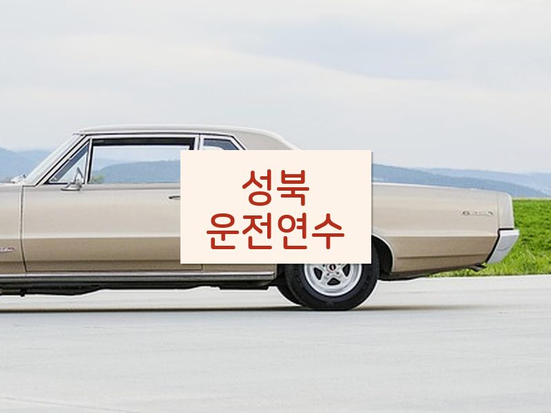 성북운전연수 후기