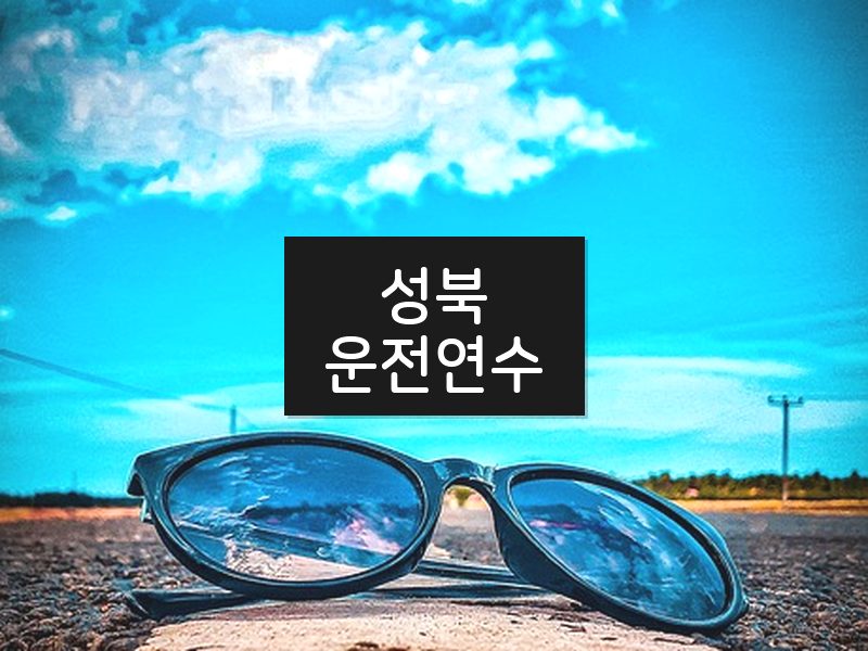 성북운전연수 후기