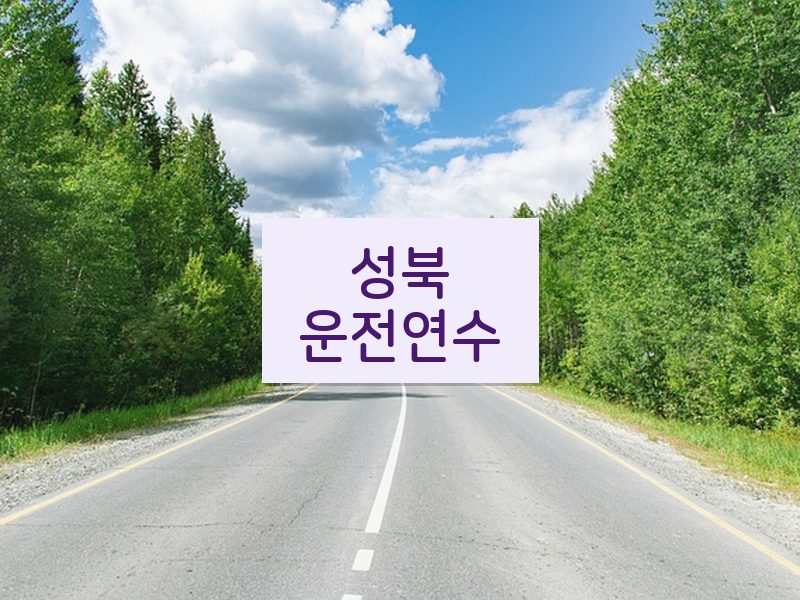 성북운전연수 후기