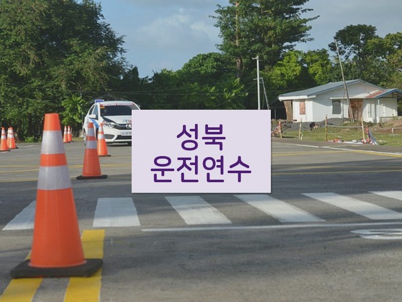 성북운전연수 후기