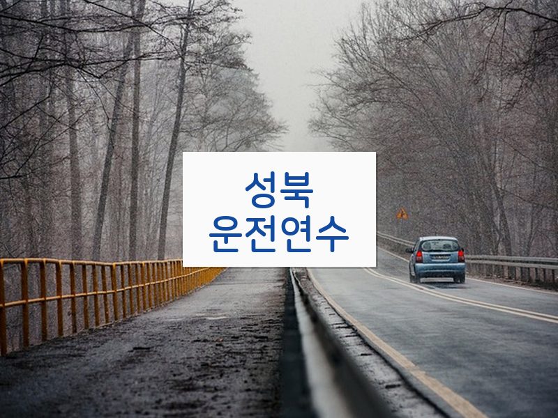 성북운전연수 후기
