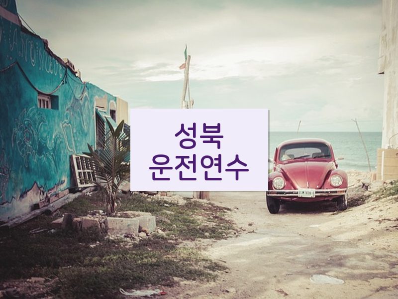성북운전연수 후기