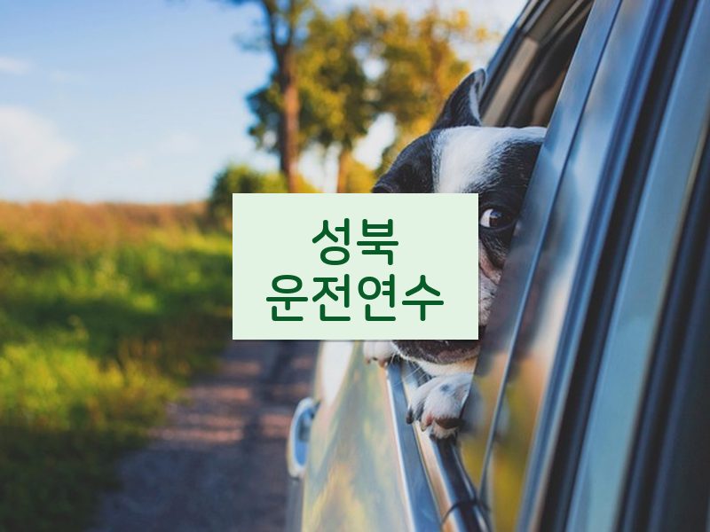 성북운전연수 후기