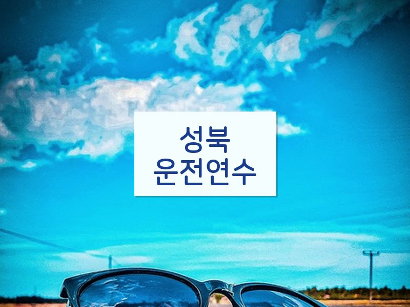 성북운전연수 후기