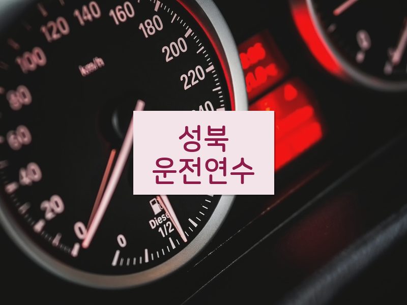 성북운전연수 후기