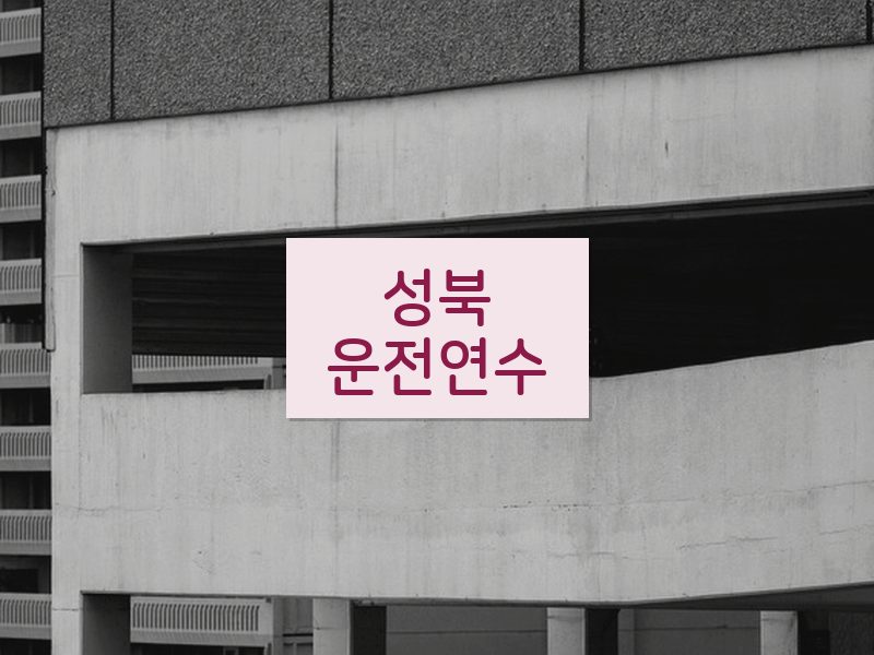 성북운전연수 후기
