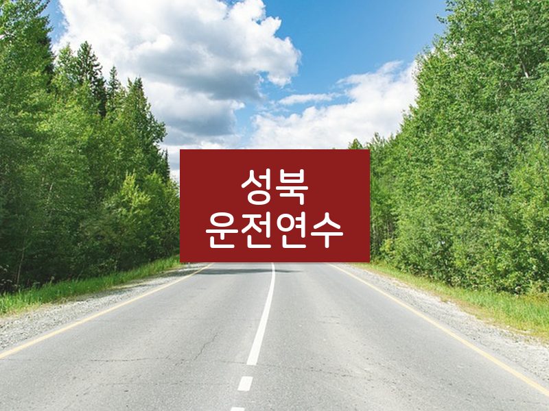 성북운전연수 후기