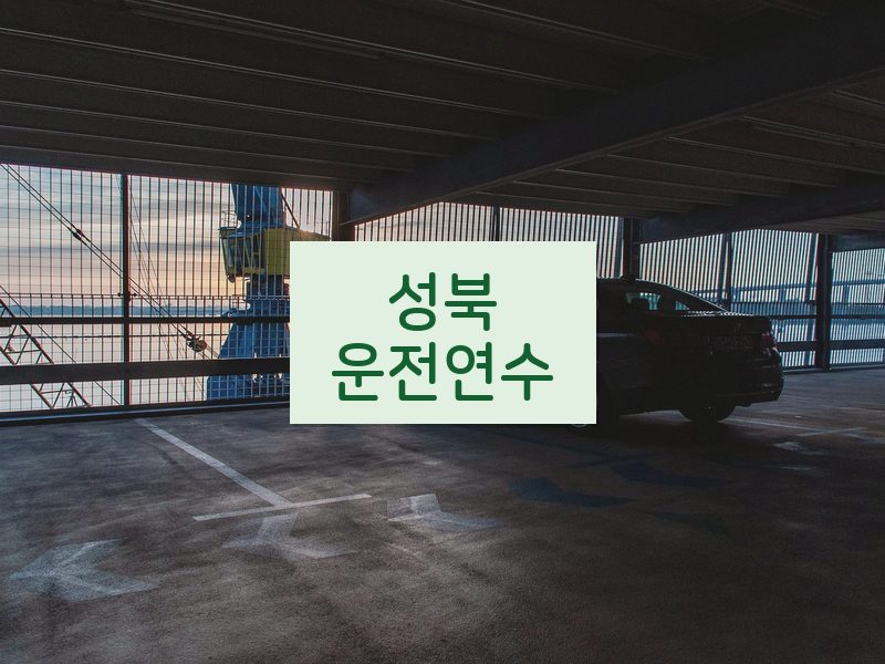 성북운전연수 후기