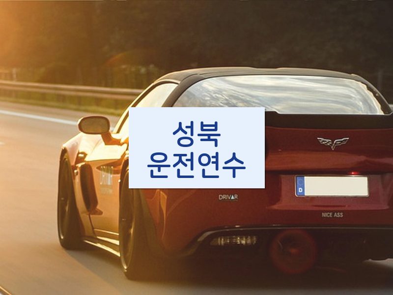 성북운전연수 후기