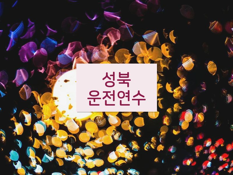 성북운전연수 후기