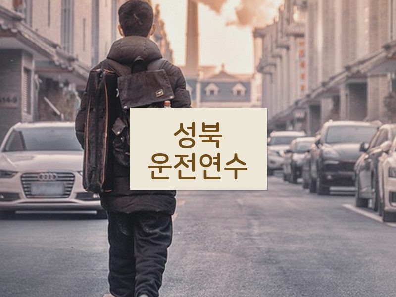 성북운전연수 후기