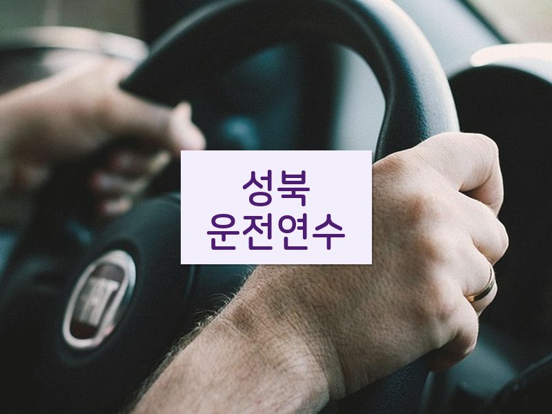 성북운전연수 후기