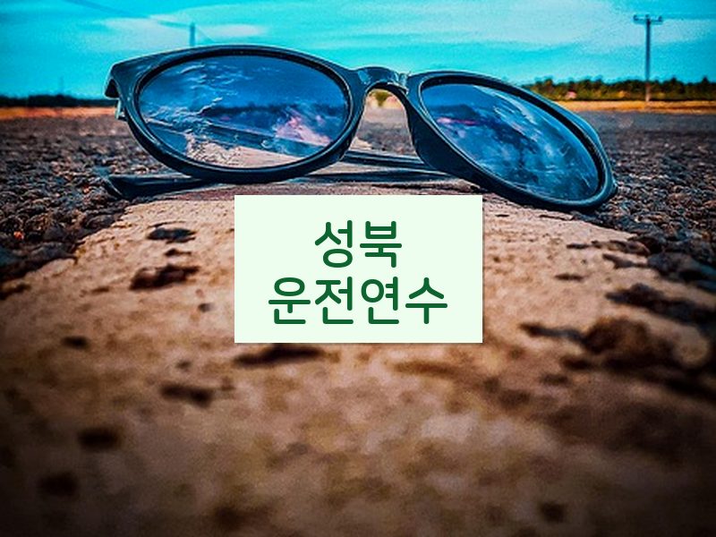 성북운전연수 후기