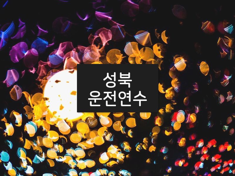 성북운전연수 후기