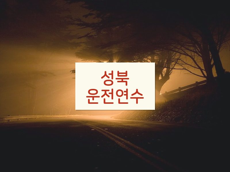 성북운전연수 후기