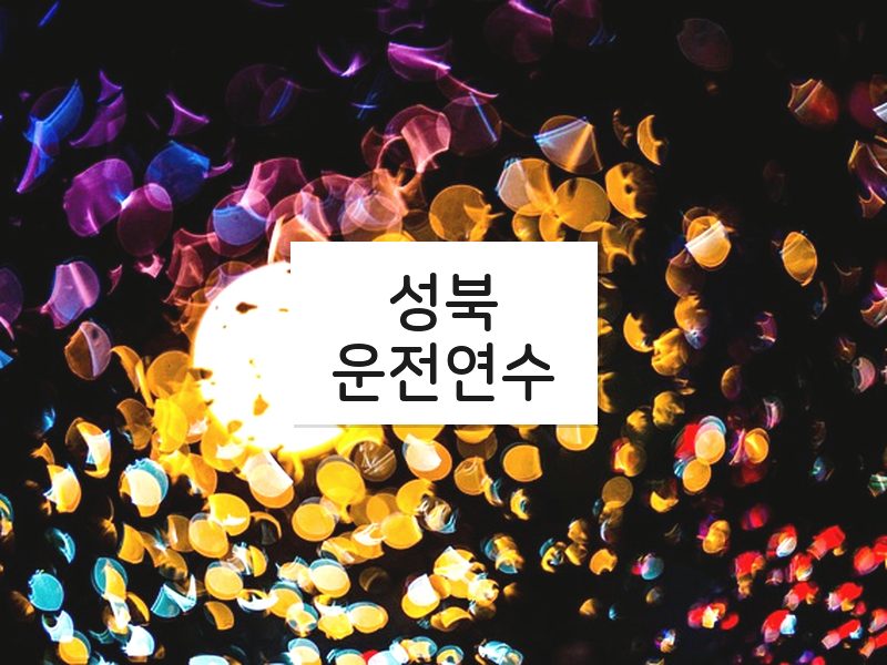 성북운전연수 후기