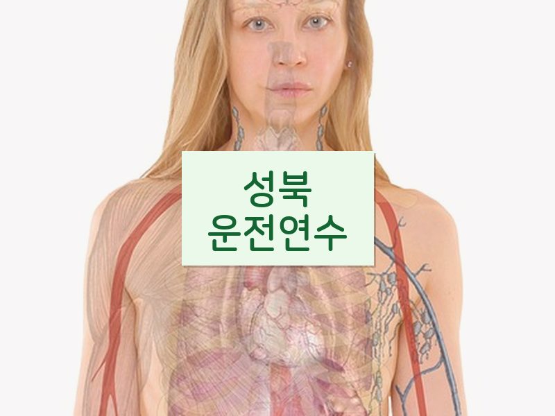 성북운전연수 후기